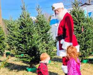 Scattered Farms Christmas Trees